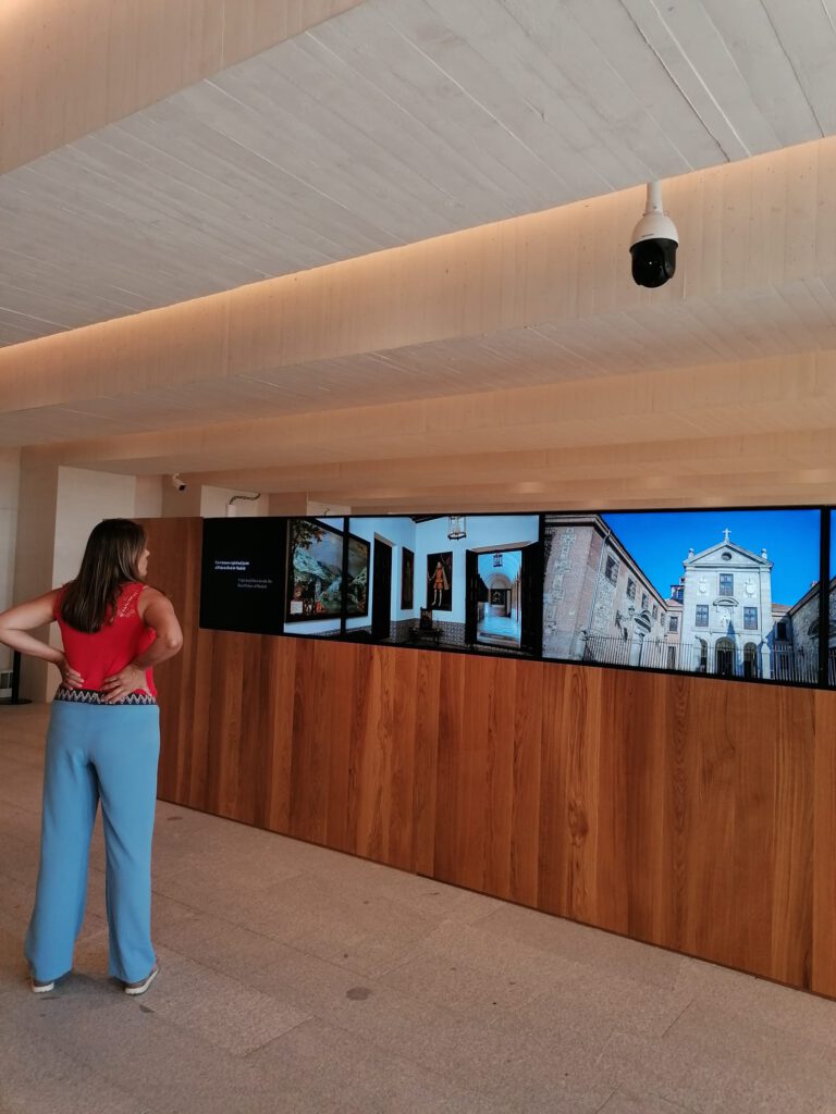 videovigilancia en museos